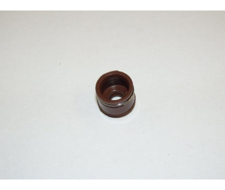 Guide seal