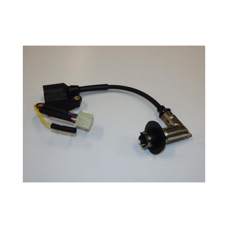 Ignitor