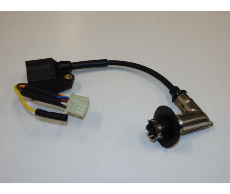 Ignitor