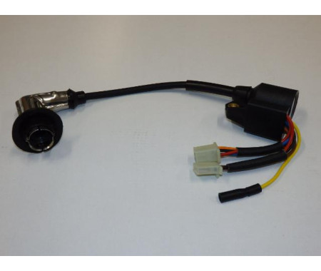 Ignitor