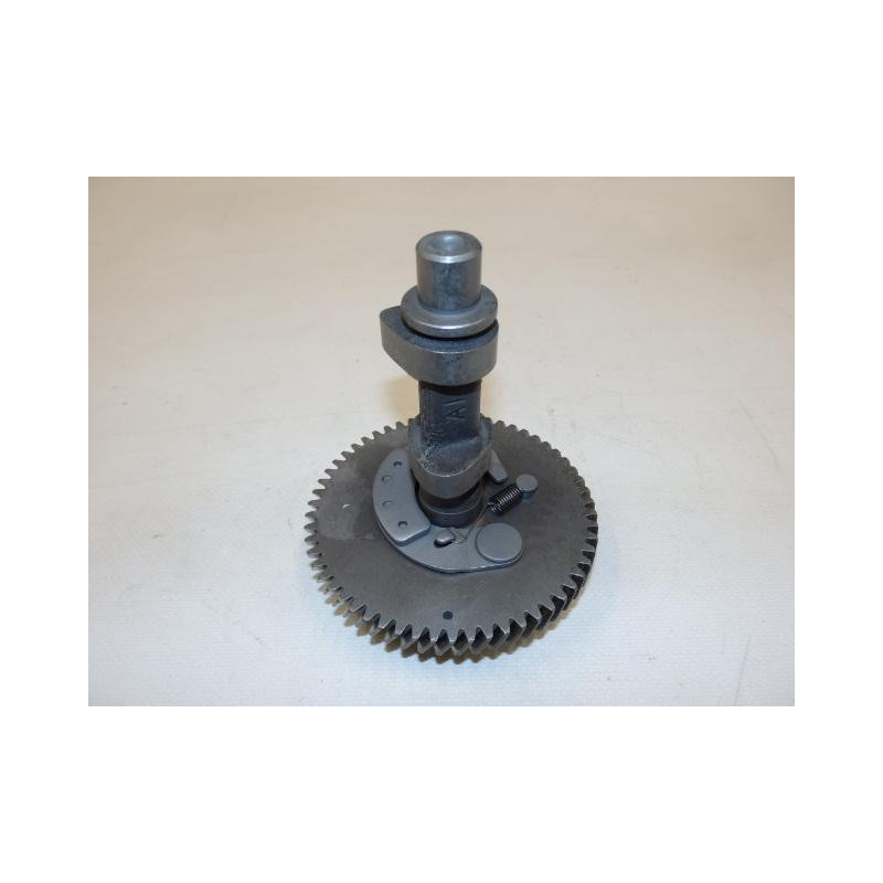 Camshaft assy