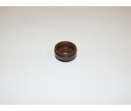 Guide seal
