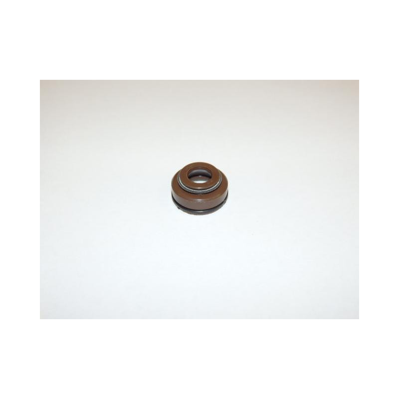Guide seal