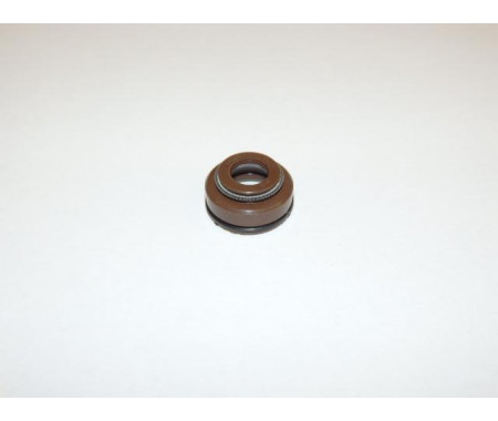 Guide seal