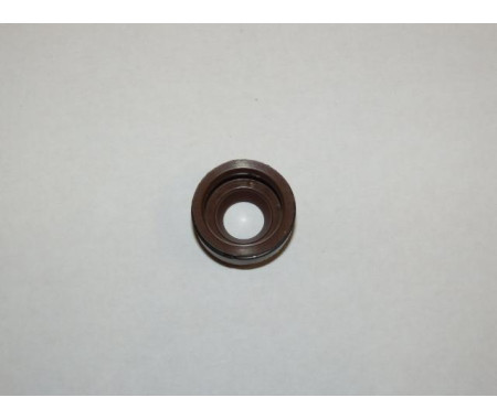 Guide seal
