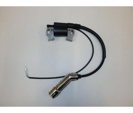 Coil ignition