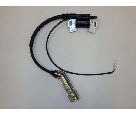 Coil ignition