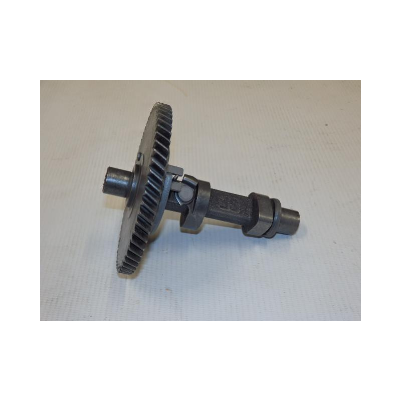 Camshaft assy