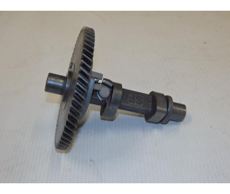 Camshaft assy