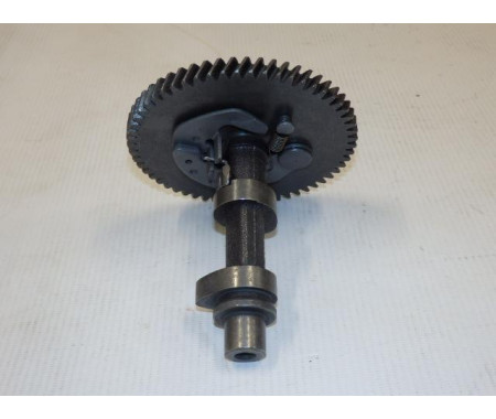 Camshaft assy
