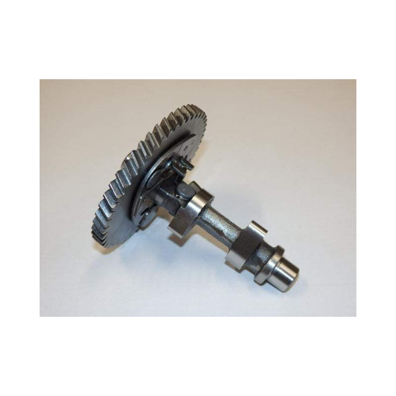 Camshaft assy