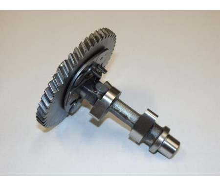 Camshaft assy