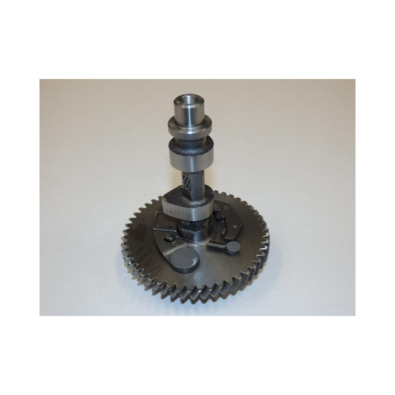 Camshaft assy
