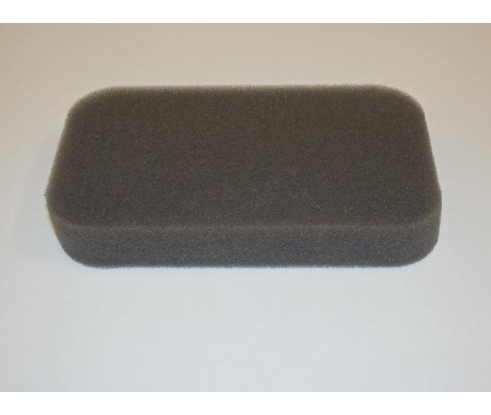Cleaner air element