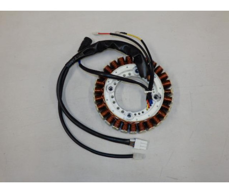 Magneto rotor