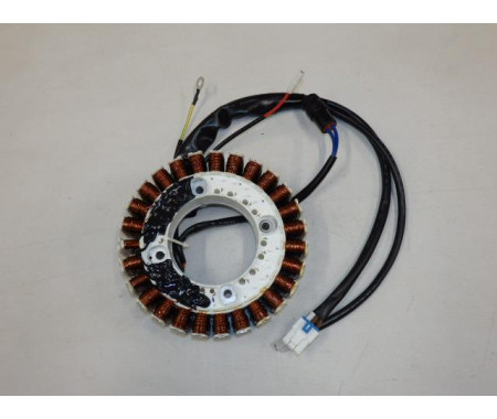 Magneto rotor
