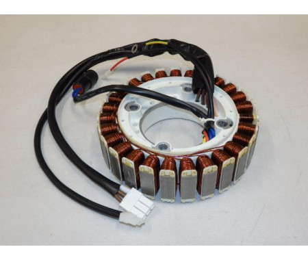 Magneto rotor