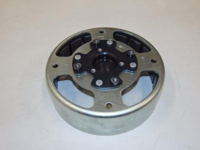 Magneto stator
