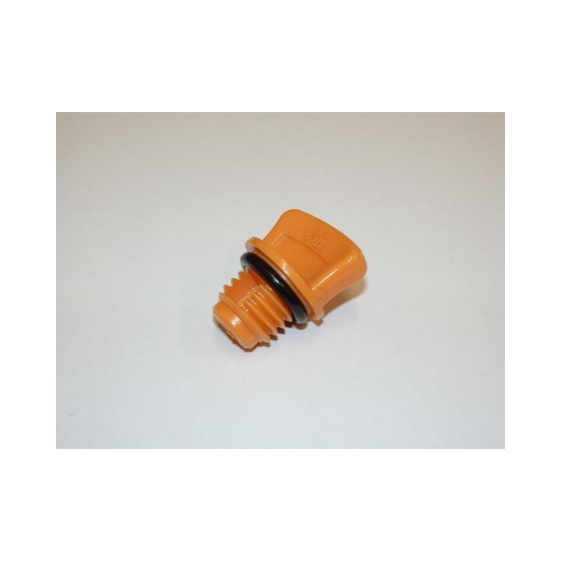Plug sub. engine oil (50G1503E2201I30)