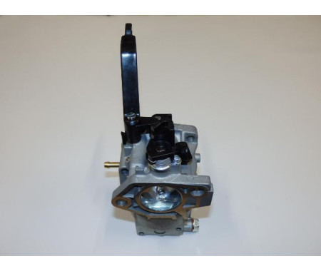 Carburetor assy