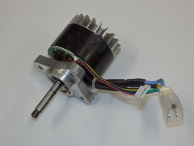 Motor 2023