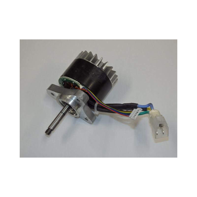 Motor 2023