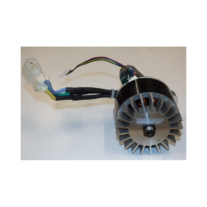 Motor 2023