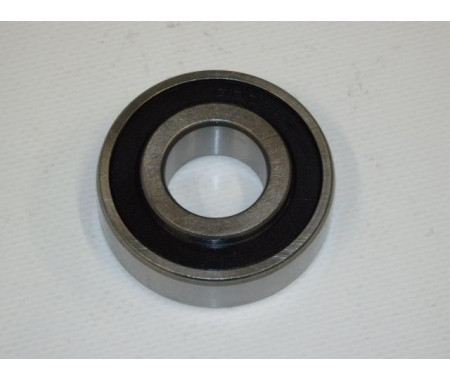 Worm housing bearing
