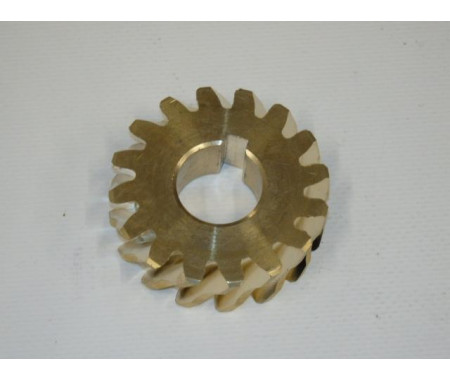 Worm gear