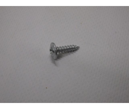 Screw
