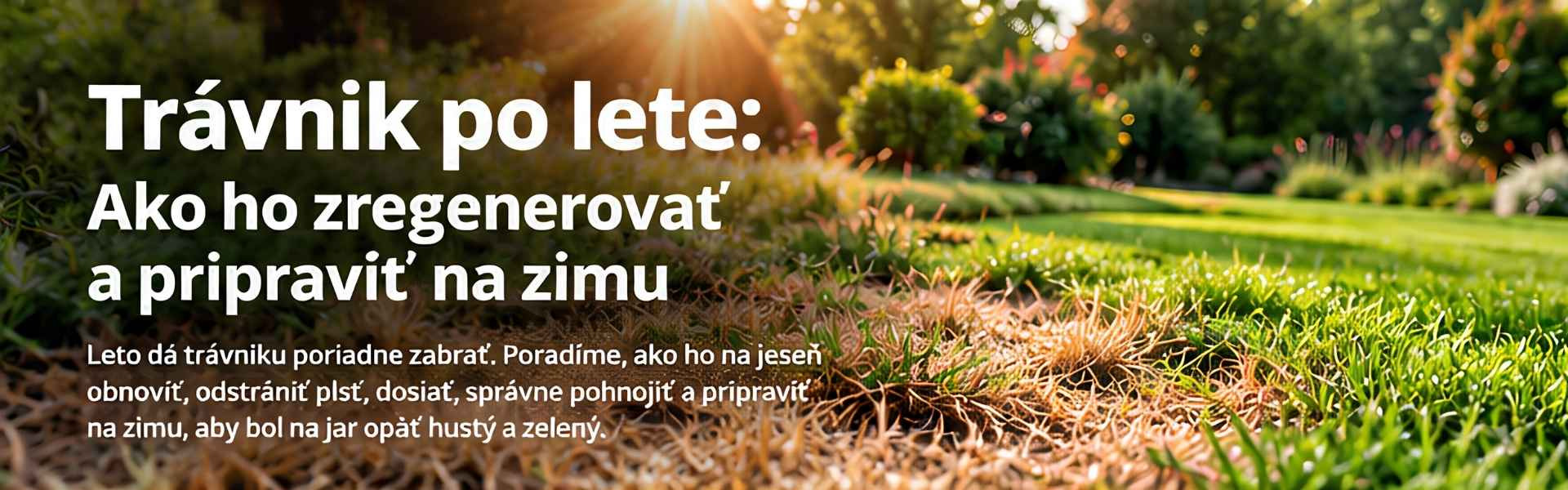 Trávnik po lete: Ako ho zregenerovať a pripraviť na zimu